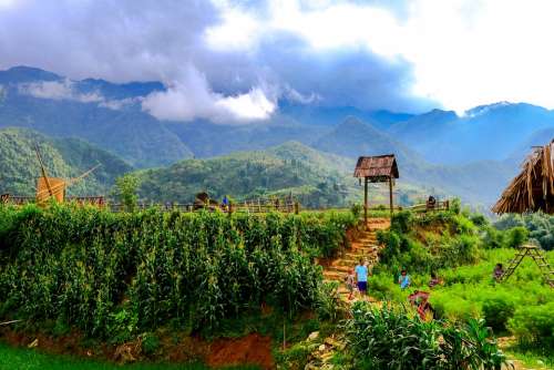 Sapa Landscape Mountain Vietnam Travel Nature