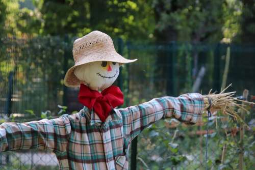Scarecrow Garden Gardening Protection Plants