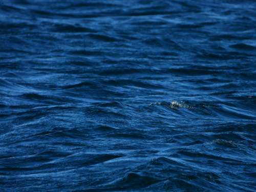 Sea Ocean Blue Waves Wind Water Seascape Wave