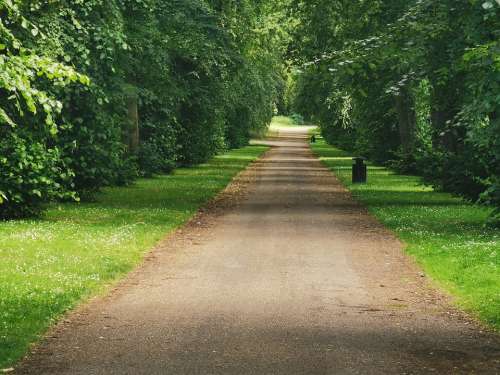 Sheffield South Yorkshire Wednesday Nature Park