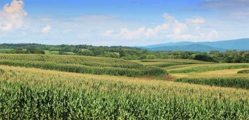 Shenandoah Valley Virginia Landscape Nature
