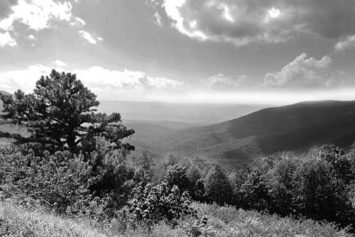 Shenandoah Valley Mountains Black And White Landscape