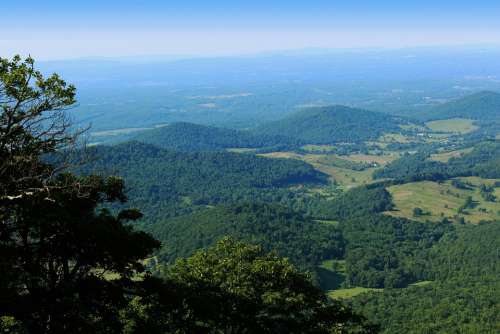 Shenandoah Valley Virginia Summer Nature