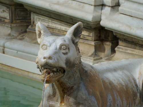 Siena Fountain Statue Wold Dog Italy Europe