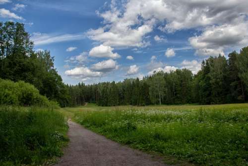 Sky Clouds Forest Landscape Nature Summer Path