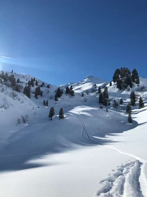 Snow Zillertal Winter Backcountry Skiiing