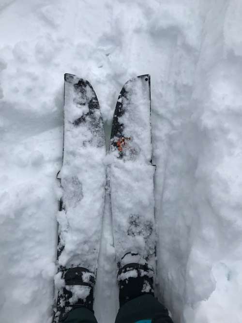 Snowboard Splitboard Snow Winter Alpine Deep Snow