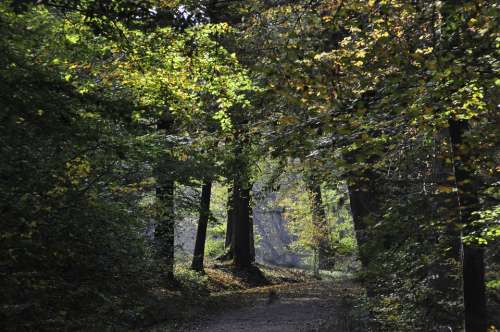 Stuttgart Wildlife Park Autumn Forest Meadow Mood