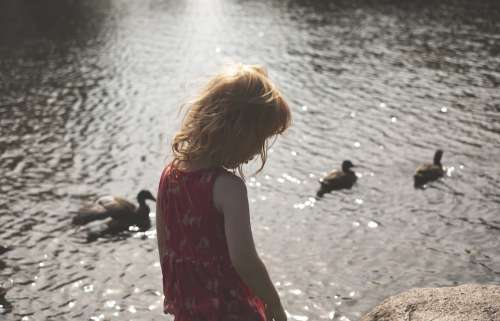 Summer Girl Red Hair Ducks Female Child Outdoor