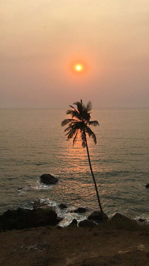 Sunset Kokan Beach Coconut Tree