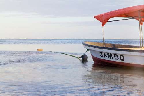 Tanzania Zanzibar Africa Sea Travel Beach