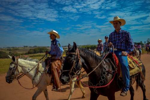 The Ride Rodeo Equestrianism