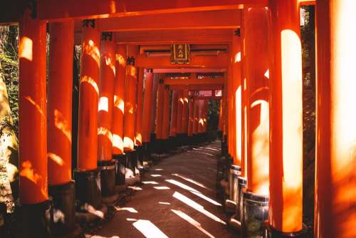 Torii Tradition Travel Culture Asia Human