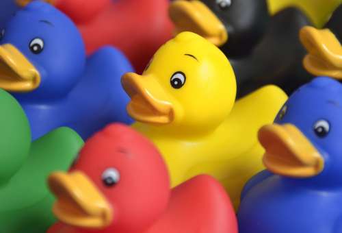 Toy Duck Col Yellow Funny Bath Fun Cute Plastic