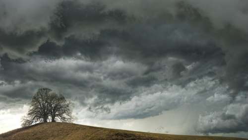 Tree Weather Clouds Hill Mood Landscape Nature