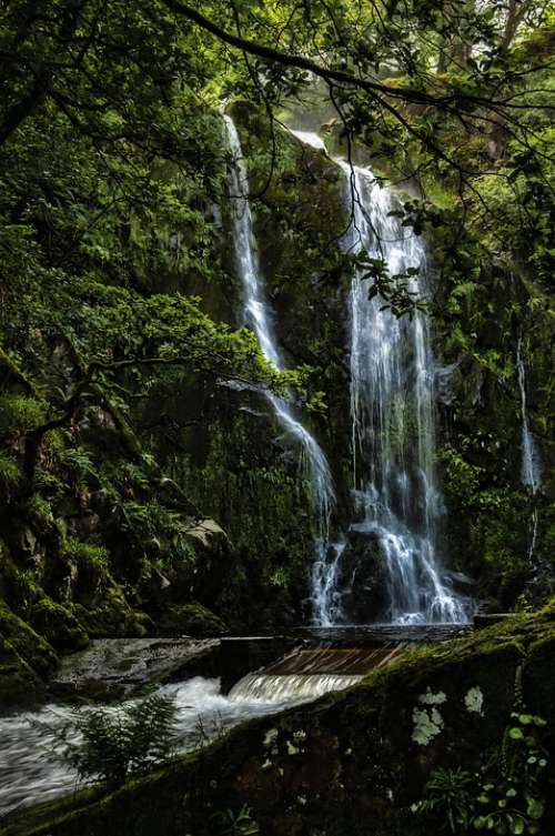 Water Falls Woodland Waterfall Cascade Scenic