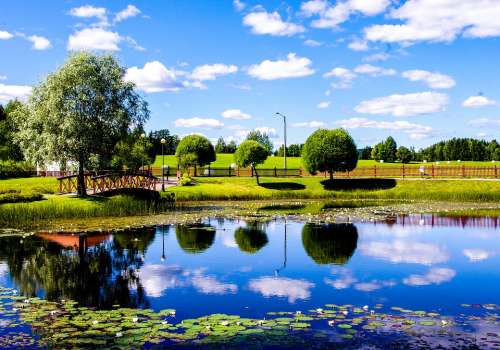 Water Mirror Mirroring Swan Landscape Sky