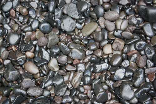 Wet Pebbles Stones Stony Pebble Nature River