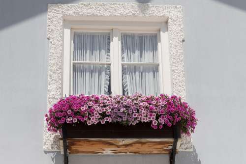 Window House Old Floral Decorations Architecture