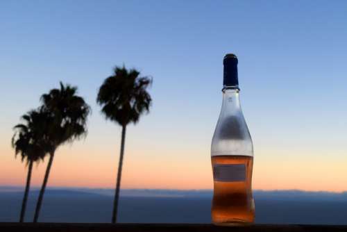 Wine Evening Drink Date Landscape Honeymoon