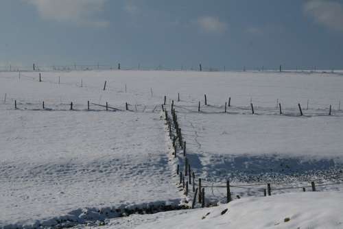 Winter Meadow Snow Landscape Nature Frost Wintry