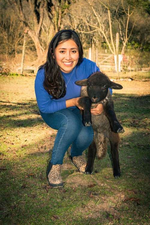 Women Model Beautiful Sexy Portrait Animals Sheep