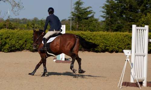 Horse and rider showjumping