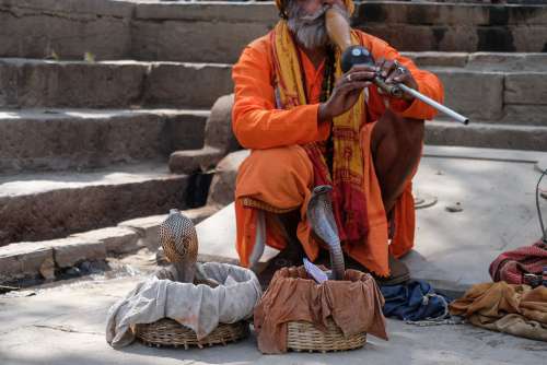 Snake Charmer with Cobra in Basket