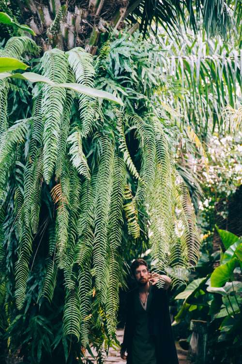 A Man Brushes Ferns Out Of His Path In A Botanical Space Photo