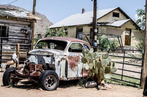 A Rusty Old Car Cuddles A Cactus In A Desert Photo