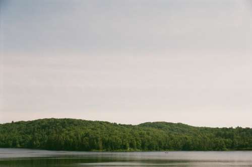 A Wooded Horizon Separate Water And Sky Photo