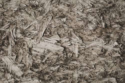 Abstract Wood Chips Photo