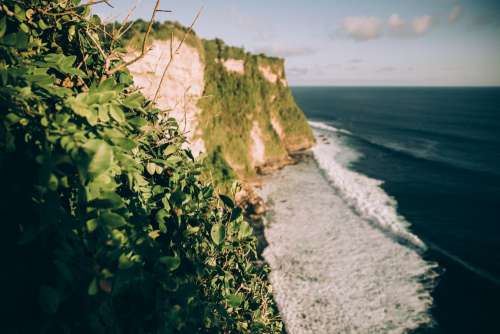 Green Covered Cliffs Meet Crashing Waves Photo