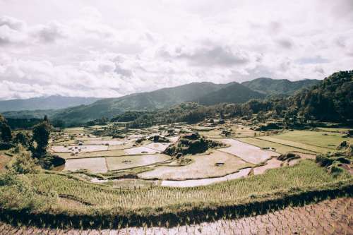 Landscape Filled With Rice Paddies Basked In Sunshine Photo