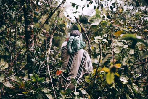 Man Wearing Loose Clothing Walks Through Jungle Photo