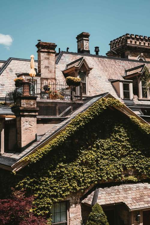 Romantic Balcony Atop An Ivy-Covered House Photo