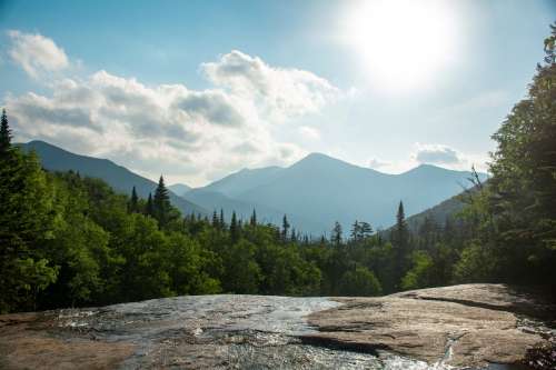 Sunlight On A Hilltop And Fern Trees Photo