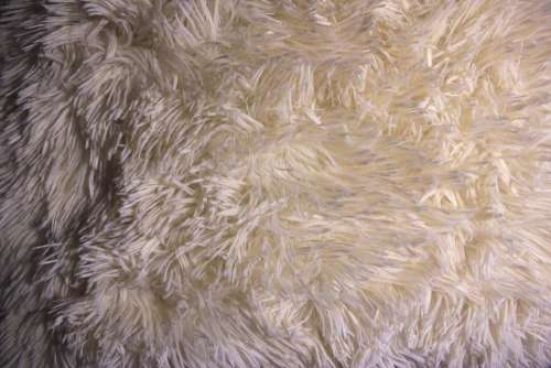 texture fur wool white pattern