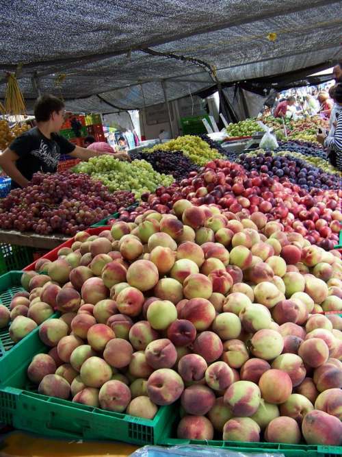 shuk fruit open air market farmers market summer fruits