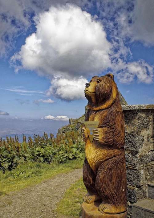 magic bear fairetale cloud carving