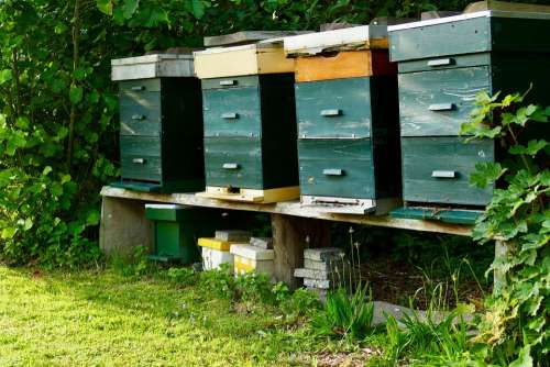 Bees Hive Honey Bee Apiary Bees Tables Beekeeper