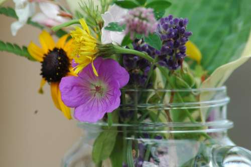 Bouquet De Fleur Jardin Fleur Bouquet