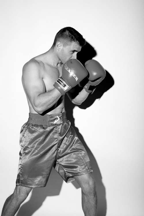 Boxing Sport Model Boxer Kickboxing Athlete