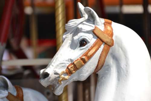 Carousel Horse Nostalgia Vienna Prater