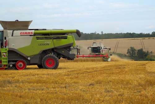 Combine Harvester Harvest Grain Agriculture