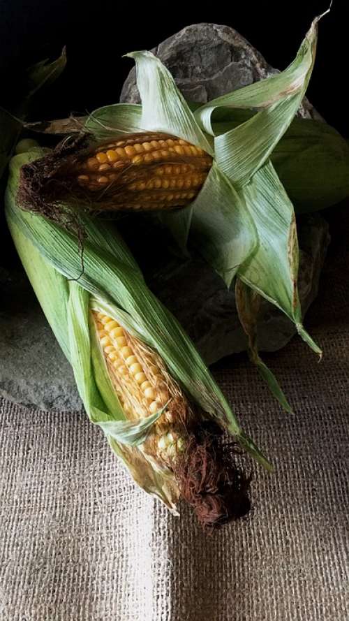 Corn Food Corn On The Cob Ripe Fruit