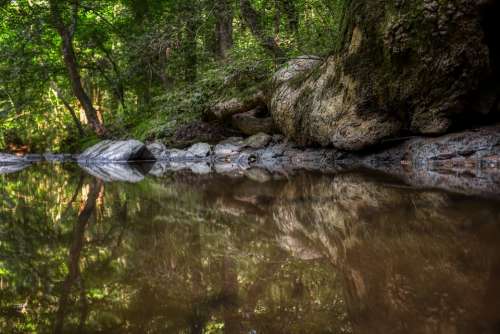 Creek Water Forest Nature Woods Reflections