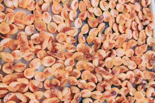 Dried Apricots Apricot Dry Background Isolated