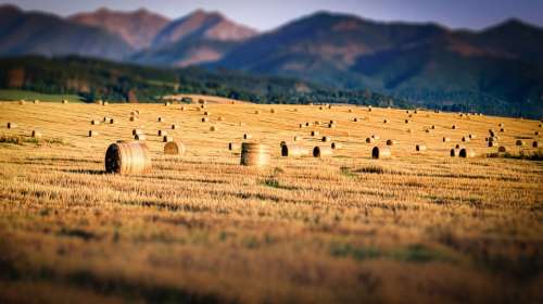 Field Straw Mountains Agriculture Nature