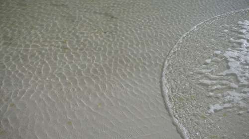 Foam Ripples Beach Ocean Sea Waves Tide Water